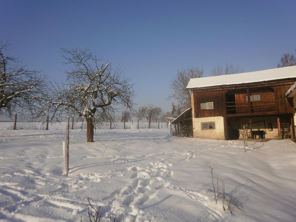 Familiehuis Fuchs Horni Branna Exteriér fotografie